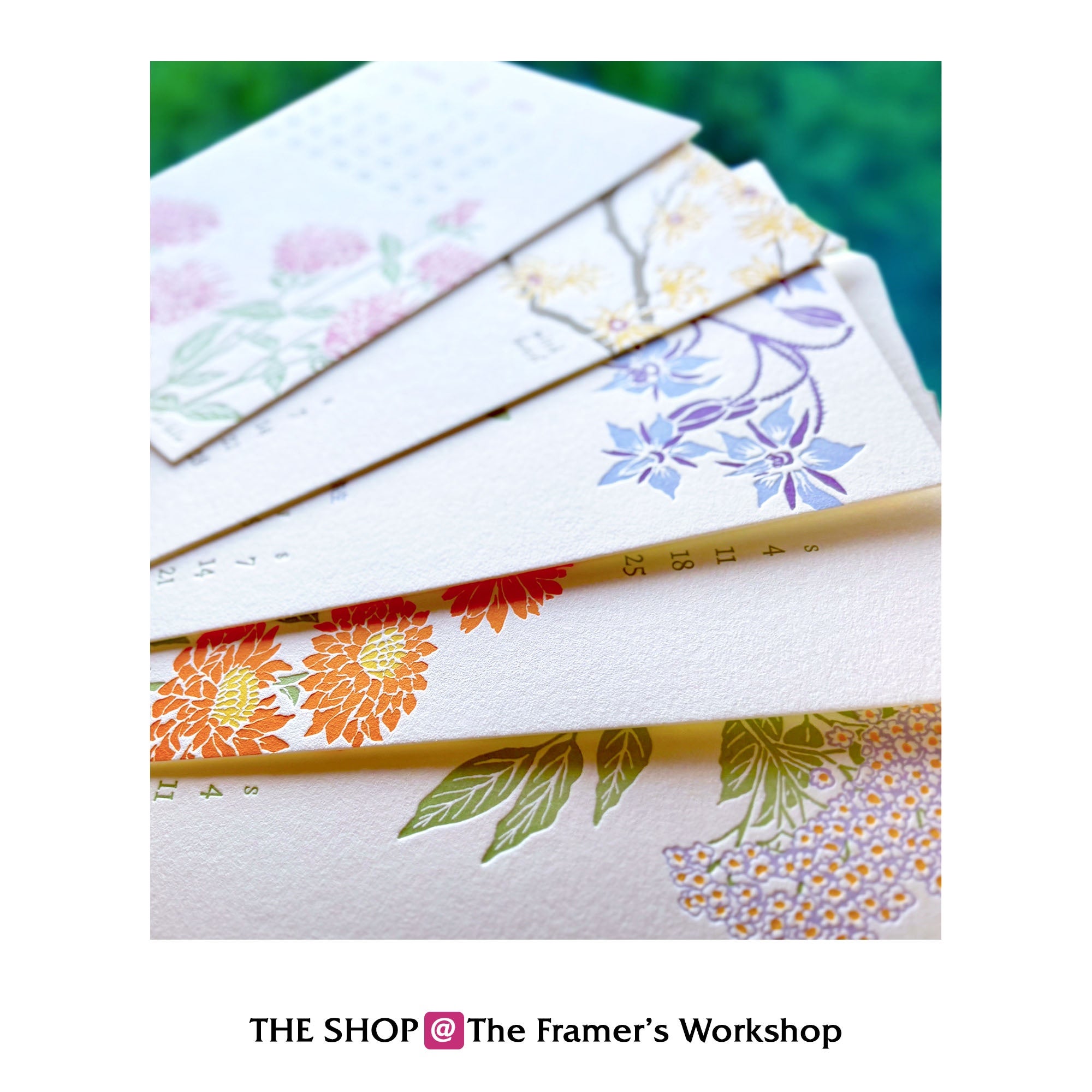 2026 “Healing Botanicals” Letterpress Desktop Calendar — Yoshiko